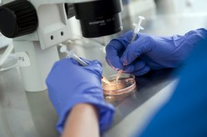 Caja aplicará técnicas modernas de fertilización in vitro a partir de junio