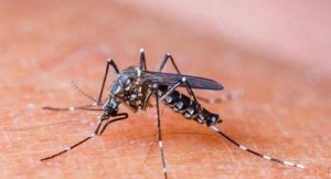 Autoridades en alerta por casos de Malaria en Zona Norte