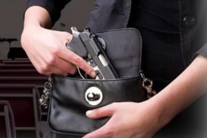 Diputados optarían por rebajar a dos las armas de fuego permitidas por persona