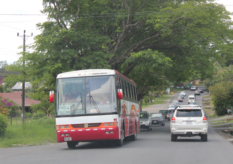 CTP autorizó 25 empresas de buses para aumentar flotilla durante Semana Santa