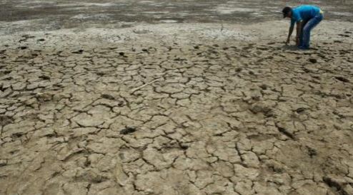Diputados solicitarían al Poder Ejecutivo que declare emergencia nacional por sequía