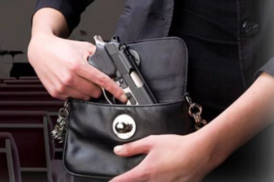 Diputados aprueban reducir a dos la cantidad de armas de fuego permitidas por persona