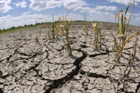 Efectos de la sequía se volverán a sentir con más fuerza en el mes de junio