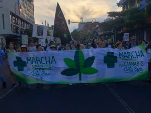 Grupos marcharon para pedir legalización del cannabis para fines médicos