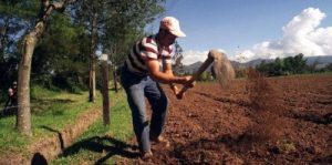 Agricultores se manifiestan por crisis que afecta a sector agrícola y proyecto para regular huelgas