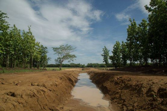 Fenómeno más fuerte que el Niño haría casi imposible buen suministro de agua en Costa Rica