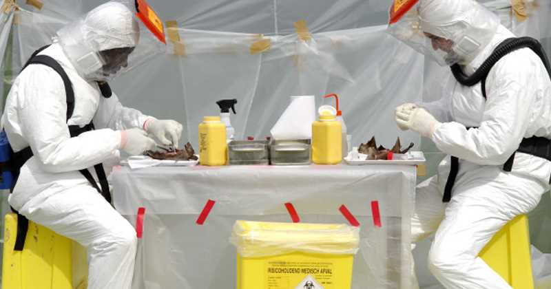 La OMS declaró al ébola como una «emergencia sanitaria mundial»