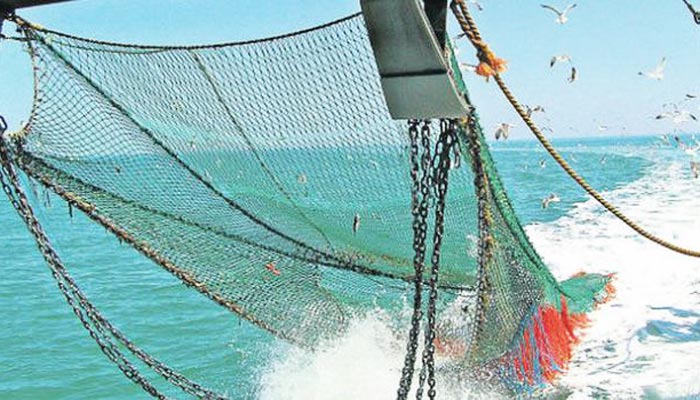 Diputados a favor de pesca de arrastre desmienten afectación a pescadores artesanales