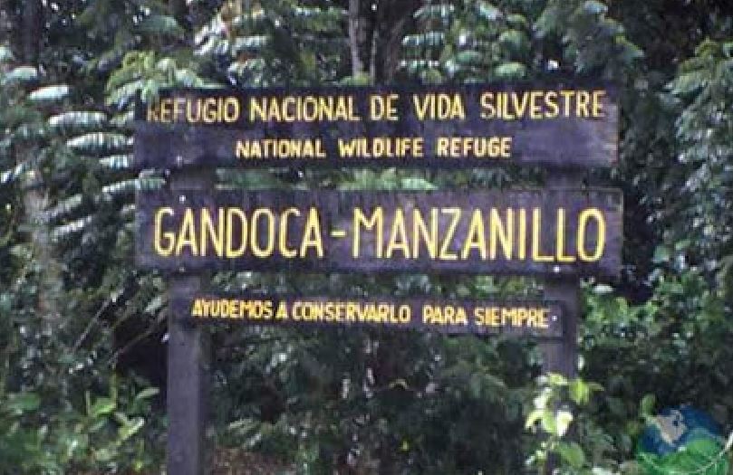 Sala IV devuelve 188 hectáreas de zona boscosa a Reserva Gandoca-Manzanillo