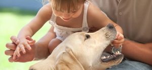 Hospital de Niños alerta por aumento en mordeduras de perro, este año se registra una muerte por esta causa