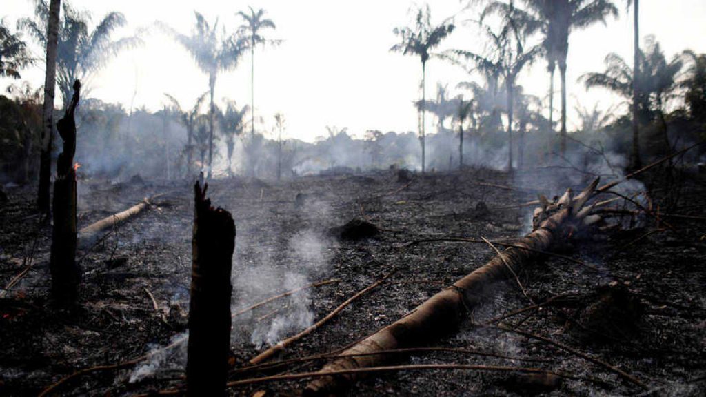 El G7 trabaja sobre una «respuesta concreta» a los incendios en el Amazonas