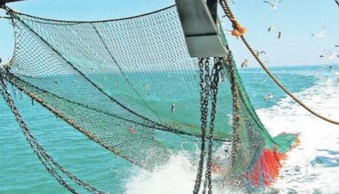 Diputados piden al gobierno convocar proyecto de Ley que revive pesca de arrastre