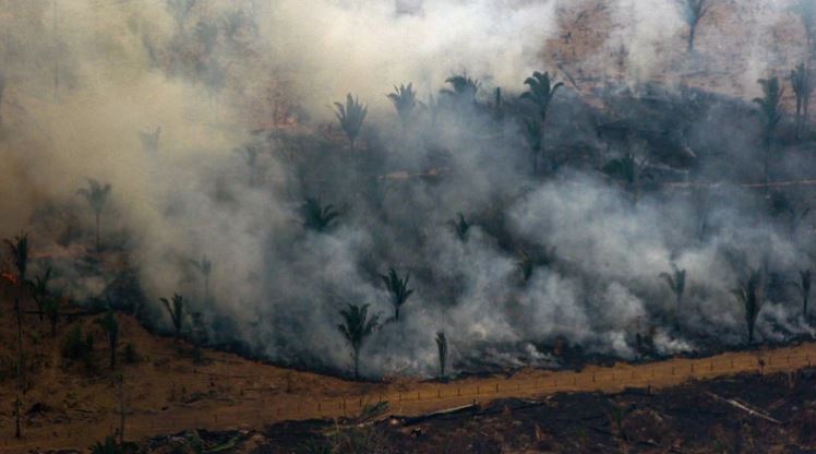 Fuego avanza en el Amazonas: ya se superaron los 80 mil focos activos de incendio en lo que va del año
