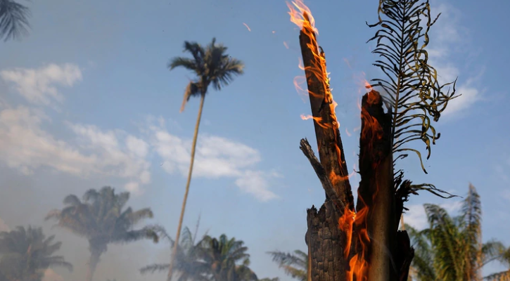 La respuesta que divide a Brasil: cuál es la principal causa de los incendios en la Amazonía