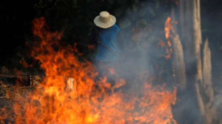 Siete claves para entender por qué los incendios en el Amazonas ya son un desastre ecológico