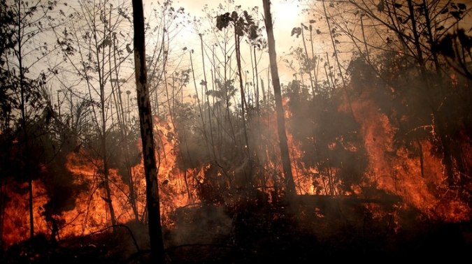 Brasil desplegó un fuerte operativo militar para combatir los incendios en el Amazonas y recibe ayuda internacional