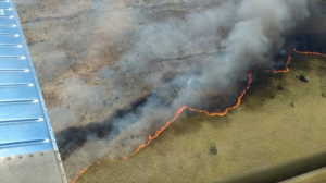 Incendio en zona de Uaimil de reserva Sian Ka´an ha sido controlado en 95%