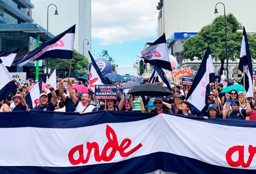 MEP solicitó declarar ilegal huelga intermitente de sindicatos de ANDE y APSE