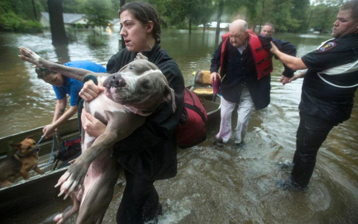 Más de mil rescates y desalojos en Texas por la tormenta Imelda