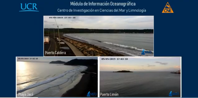 Autoridades habilitan tres cámaras con transmisión en vivo para observación marino-costera