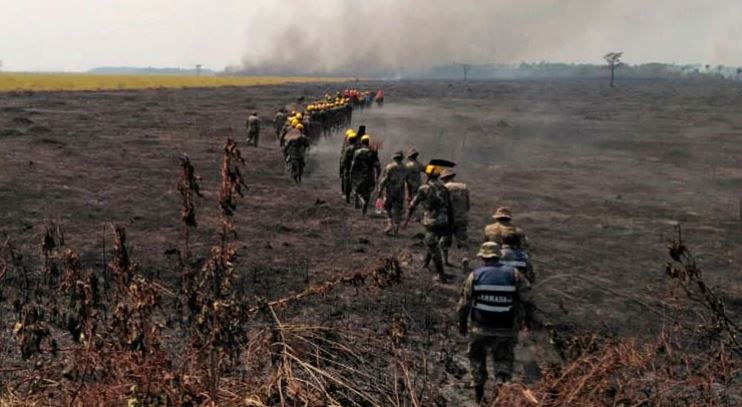 Los incendios en Bolivia consumieron más de 4 millones de hectáreas de bosque y pastizales