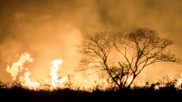 Incendios en Bolivia: con más de 2 millones de hectáreas quemadas y dos muertos