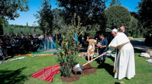 El papa Francisco plantó un árbol en el Vaticano con indígenas del Amazonas