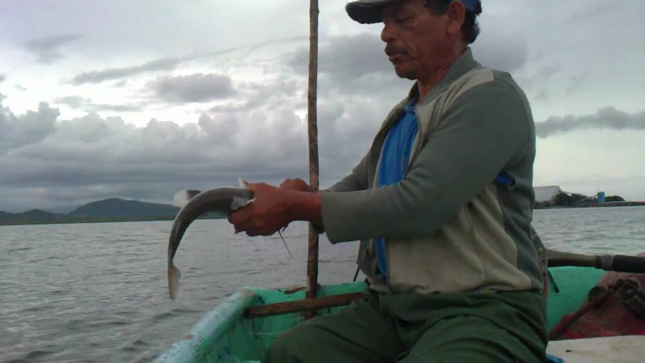 Pescadores del sector Palanguero satisfechos con visto bueno a proyecto que busca revivir pesca de arrastre