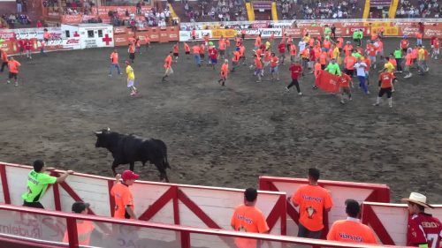 ¡Se vienen las Fiestas de Zapote! Entradas para corridas de toros ya están a la venta