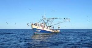Pescadores de Guanacaste y Puntarenas piden a diputados dar marcha atrás a proyecto para revivir pesca de arrastre