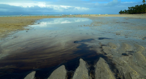 La mancha de petróleo llegó a las paradisíacas playas de Brasil: ya contaminó 7.400 kilómetros de costas