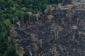 La deforestación en el Amazonas se dispara y aumenta la presión sobre Jair Bolsonaro