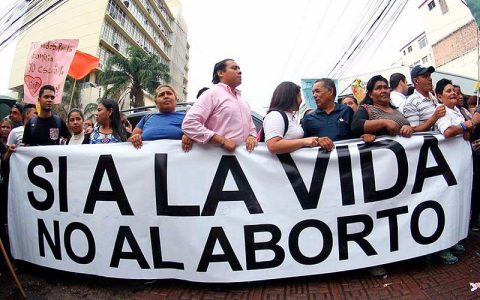 Convocan a gran marcha contra firma a norma que regularía aborto terapéutico