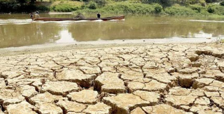 Sector agrícola aún reciente efectos de intensa sequía por Fenómeno del Niño