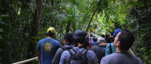 Autoridades alertan sobre propagación de senderos clandestinos para evitar pagar entrada en Parques Nacionales