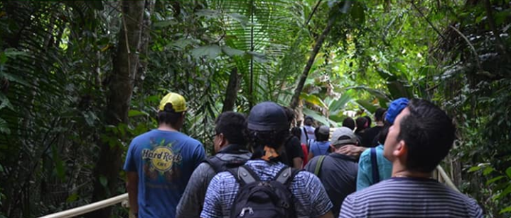 SINAC lanza campaña “Turista Responsable” para evitar ingresos a zonas prohibidas y senderos clandestinos