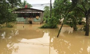 CNE invertirá casi ¢8 mil millones en megaobra para evitar inundaciones en Osa