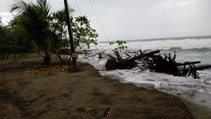Autoridades activan Comités de Emergencias en Limón y Talamanca por fuerte oleaje