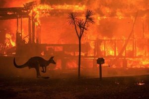 Embajada tica en Australia descarta afectación de nacionales por incendios en ese país