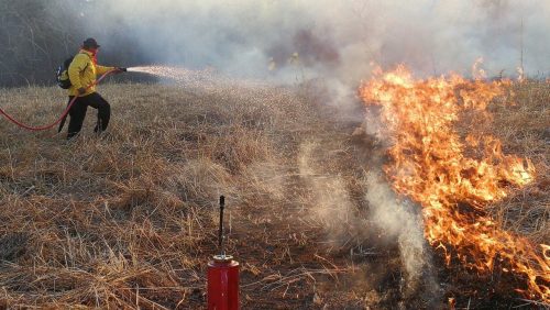 Cuerpo de Bomberos busca controlar en Turrubares el incendio forestal más extenso del 2020