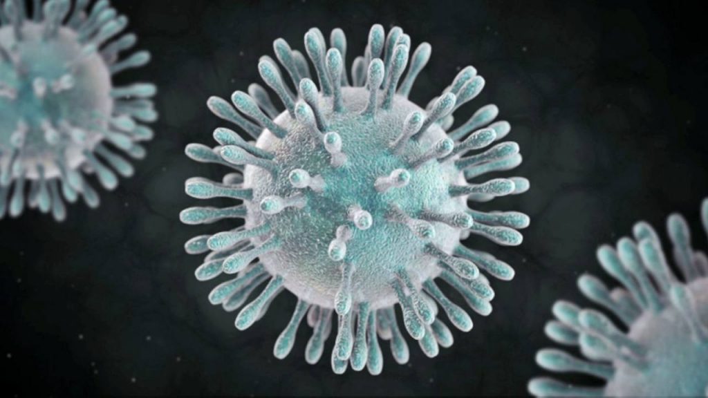 Ministerio de Salud descarta casos sospechosos de coronavirus en el país