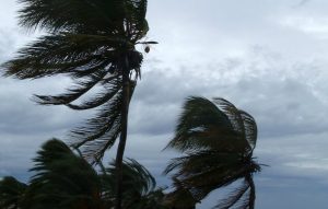 Declaran alerta verde en Valle Central y Pacífico Norte por fuertes vientos