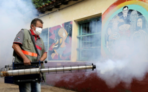 Alerta en Paraguay por dengue: el número de muertos aumentó a 16 en la última semana