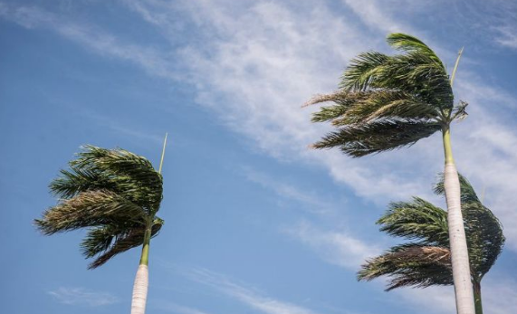 CNE espera que leve disminución en velocidad de los vientos sobre el país se revierta durante el fin de semana