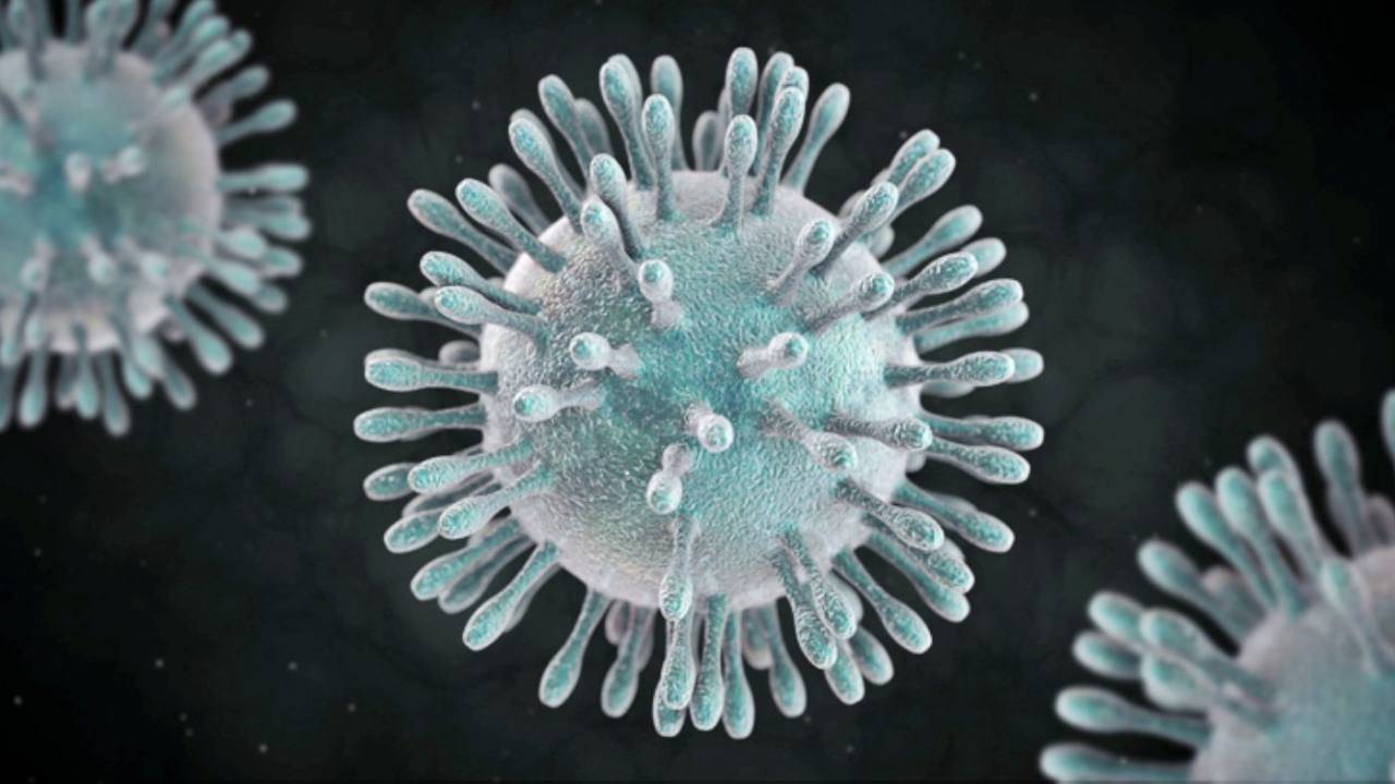 El ABC del COVID – 19: El tipo de coronavirus que puso de cabeza al mundo