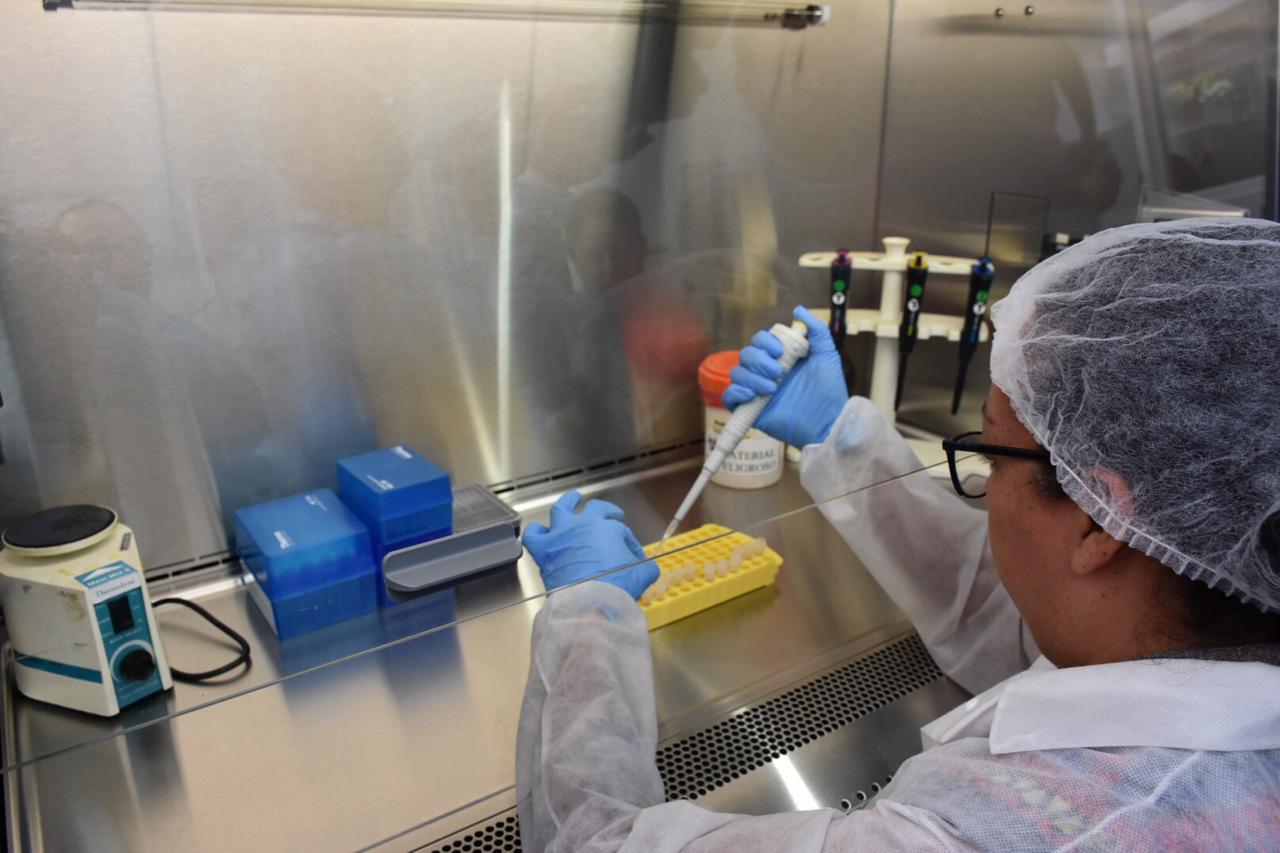 Dos laboratorios privados cuentan con aval de Salud para realizar pruebas de Covid-19