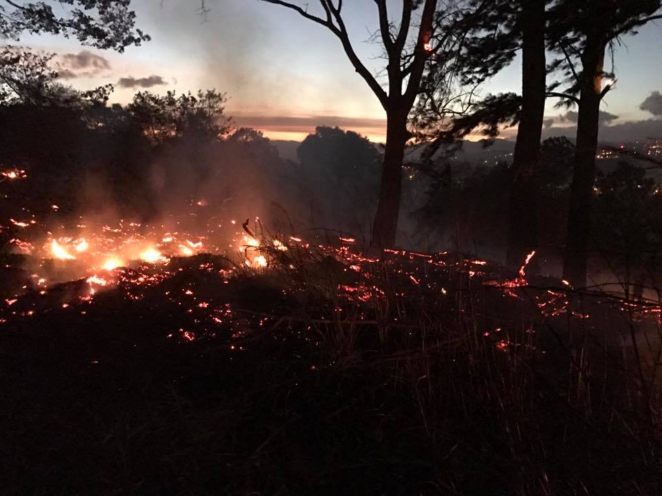 Incendio forestal amenaza 236 hectáreas de zona montañosa en Atenas