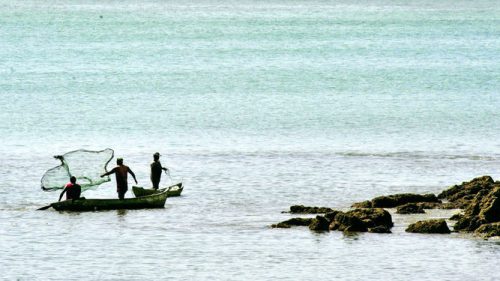 Pescadores inician campaña “Barco de alimentos” para recibir donativos y enfrentar la crisis del COVID-19