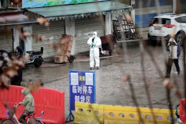 Cinco meses después del comienzo de la pandemia de coronavirus, Wuhan prohibió el consumo de animales salvajes