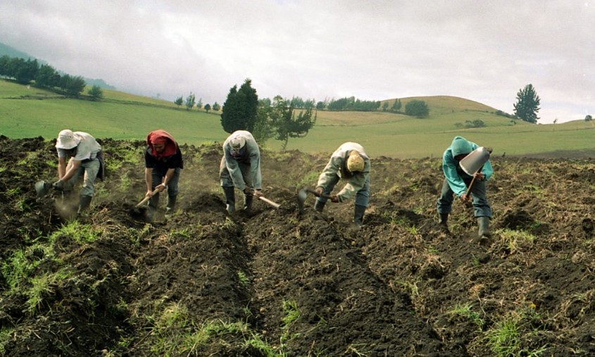 Gobierno firma decreto que legaliza a migrantes dedicados a labores agrícolas